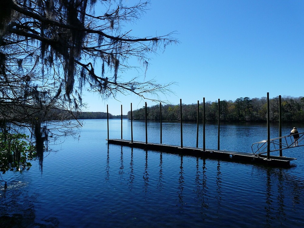A floating dock and access gangway at Manatee Springs